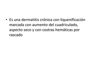 • Es una dermatitis crónica con liquenificación
marcada con aumento del cuadriculado,
aspecto seco y con costras hemáticas por
rascado
 