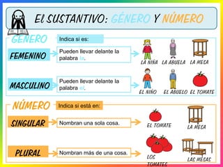 GÉNERO
El SUSTANTIVO: GÉNERO Y NÚMERO
NÚMERO
LA NIÑA LA ABUELA LA MESA
FEMENINO
MASCULINO
EL NIÑO EL ABUELO EL TOMATE
Indica si está en:
SINGULAR
PLURAL
Pueden llevar delante la
palabra el.
Pueden llevar delante la
palabra la.
Indica si es:
LA MESA
LAS MESAS
EL TOMATE
LOS
TOMATES
Nombran más de una cosa.
Nombran una sola cosa.
 