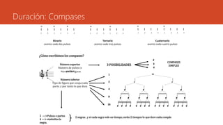 Duración: Compases
Binario
acento cada dos pulsos
Ternario
acento cada tres pulsos
Cuaternario
acento cada cuatro pulsos
¿Cómo escribimos los compases?
Número superior
Número de pulsos o
partes
Número inferior
Tipo de figura que ocupa cada
parte, y por tanto lo que dura
3 POSIBILIDADES
2
3
4
COMPASES
SIMPLES
1
2
8
4
16
2 —>Pulsos o partes
4 —> simboliza la
negra.
2 negras , y si cada negra vale un tiempo, serán 2 tiempos lo que dure cada compás
Número de figuras
 