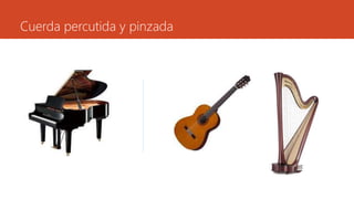 Cuerda percutida y pinzada
 
