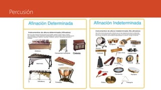 Percusión
 