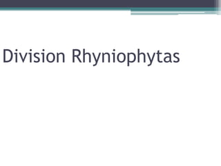 Division Rhyniophytas
 