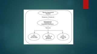 REPASO EXAMEN FINAL.pptx