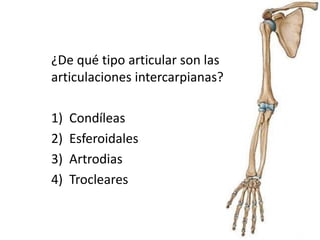 ¿De qué tipo articular son las
articulaciones intercarpianas?
1) Condíleas
2) Esferoidales
3) Artrodias
4) Trocleares
 