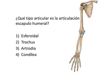 ¿Qué tipo articular es la articulación
escapulo humeral?
1) Esferoidal
2) Trochus
3) Artrodia
4) Condílea
 