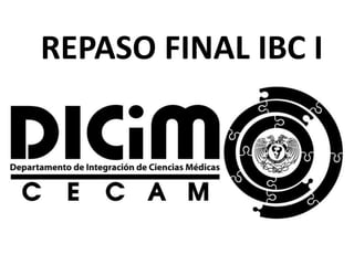 REPASO FINAL IBC I
 