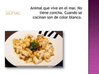 Animal que vive en el mar. No
     tiene concha. Cuando se
 cocinan son de color blanco.
 
