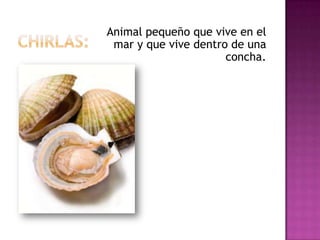 Animal pequeño que vive en el
 mar y que vive dentro de una
                      concha.
 