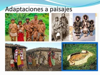Ab Lineas Repaso historia 4 ab lineas paisajes adaptacion personas | PPTX