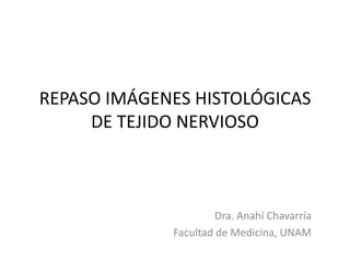 REPASO IMÁGENES HISTOLÓGICAS
DE TEJIDO NERVIOSO

Dra. Anahí Chavarría
Facultad de Medicina, UNAM

 