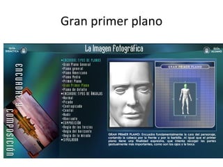 Gran primer plano 