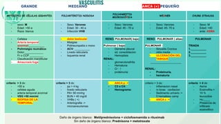 REPASO MED 4 REUMATOLOGIA MEDNOTES M2F.pdf