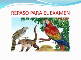 REPASO PARA EL EXAMEN 