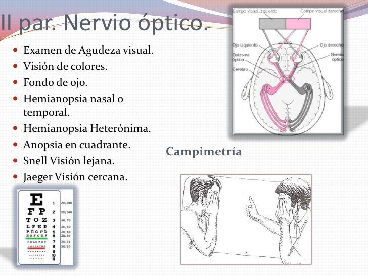 Ruota Sensi Diagnostica Girandola Diagnostica Wartenberg - Strumento Neurologico Per Esame Dei Sensi, In Acciaio Ruota Di Wartenberg - Foto 12