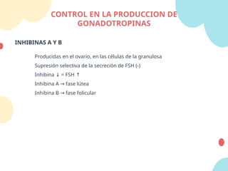 INHIBINAS A Y B
Producidas en el ovario, en las células de la granulosa
Supresión selectiva de la secreción de FSH (-)
Inhibina = FSH
↓ ↑
Inhibina A fase lútea
→
Inhibina B fase folicular
→
CONTROL EN LA PRODUCCION DE
GONADOTROPINAS
 