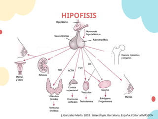 HIPOFISIS
J, Gonzalez-Merlo. 2003. Ginecología. Barcelona, España. Editorial MASSON
 