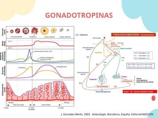 GONADOTROPINAS
J, Gonzalez-Merlo. 2003. Ginecología. Barcelona, España. Editorial MASSON
 