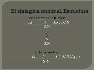 Los alumnos de la clase
det N S.prep/C.N
S.N
Él
N
S.N
Su hermano Juan
det N S.N /C.N (Apo.)
S.N
 