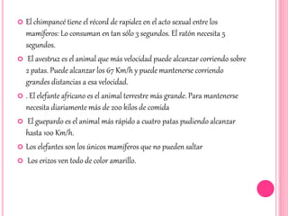  El chimpancé tiene el récord de rapidez en el acto sexual entre los
mamíferos: Lo consuman en tan sólo 3 segundos. El ratón necesita 5
segundos.
 El avestruz es el animal que más velocidad puede alcanzar corriendo sobre
2 patas. Puede alcanzar los 67 Km/h y puede mantenerse corriendo
grandes distancias a esa velocidad.
 . El elefante africano es el animal terrestre más grande. Para mantenerse
necesita diariamente más de 200 kilos de comida
 El guepardo es el animal más rápido a cuatro patas pudiendo alcanzar
hasta 100 Km/h.
 Los elefantes son los únicos mamíferos que no pueden saltar
 Los erizos ven todo de color amarillo.
 