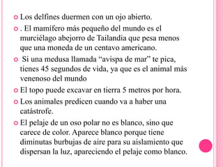  Los delfines duermen con un ojo abierto.
 . El mamífero más pequeño del mundo es el
murciélago abejorro de Tailandia que pesa menos
que una moneda de un centavo americano.
 Si una medusa llamada “avispa de mar” te pica,
tienes 45 segundos de vida, ya que es el animal más
venenoso del mundo
 El topo puede excavar en tierra 5 metros por hora.
 Los animales predicen cuando va a haber una
catástrofe.
 El pelaje de un oso polar no es blanco, sino que
carece de color. Aparece blanco porque tiene
diminutas burbujas de aire para su aislamiento que
dispersan la luz, apareciendo el pelaje como blanco.
 