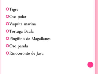 Tigre
Oso polar
Vaquita marina
Tortuga Baula
Pingüino de Magallanes
Oso panda
Rinoceronte de Java
 