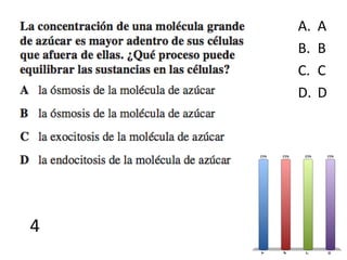 4
A. A
B. B
C. C
D. D
 