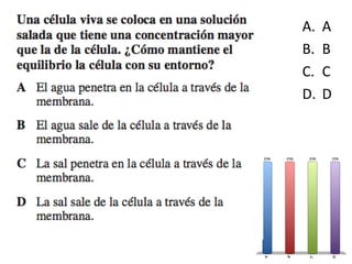 4
A. A
B. B
C. C
D. D
 