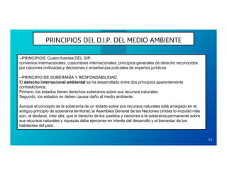 PRINCIPIOS DEL D.I.P. DEL MEDIO AMBIENTE
14
--PRINCIPIOS: Cuatro fuentes DEL DIP:
convenios internacionales, costumbres in...