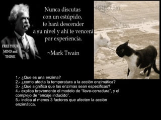 1.- ¿Que es una enzima?
2.- ¿como afecta la temperatura a la acción enzimática?
3.- ¿Que significa que las enzimas sean especificas?
4.- explica brevemente el modelo de “llave-cerradura”, y el
complejo de “encaje inducido”.
5.- indica al menos 3 factores que afecten la acción
enzimática.
 