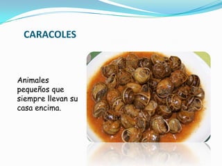 CARACOLES



Animales
pequeños que
siempre llevan su
casa encima.
 