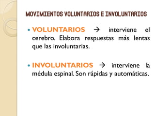 Movimientos voluntarios e involuntarios
 VOLUNTARIOS  interviene el
cerebro. Elabora respuestas más lentas
que las involuntarias.
 INVOLUNTARIOS  interviene la
médula espinal. Son rápidas y automáticas.
 