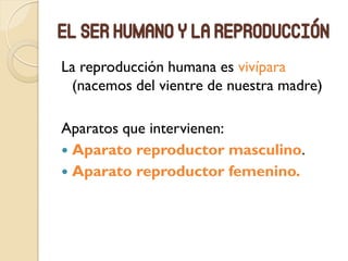 El ser humano y la reproducción
La reproducción humana es vivípara
(nacemos del vientre de nuestra madre)
Aparatos que intervienen:
 Aparato reproductor masculino.
 Aparato reproductor femenino.
 