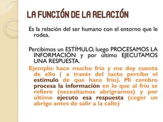 La función de la relación
Es la relación del ser humano con el entorno que le
rodea.
Percibimos un ESTÍMULO, luego PROCESAMOS LA
INFORMACIÓN y por último EJECUTAMOS
UNA RESPUESTA.
Ejemplo: hace mucho frío y me doy cuenta
de ello ( a través del tacto percibo el
estímulo de que hace frío). Mi cerebro
procesa la información en lo que al frío se
refiere (necesitamos abrigrarnos) y por
último ejecuto esa respuesta (coger un
abrigo antes de salir a la calle)
 