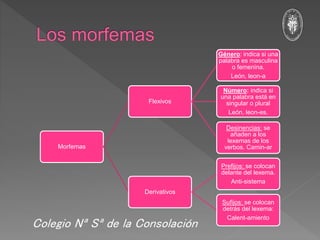 Morfemas
Flexivos
Género: indica si una
palabra es masculina
o femenina.
León, leon-a
Número: indica si
una palabra está en
singular o plural
León, leon-es.
Desinencias: se
añaden a los
lexemas de los
verbos. Camin-ar
Derivativos
Prefijos: se colocan
delante del lexema.
Anti-sistema
Sufijos: se colocan
detrás del lexema:
Calent-amiento
Colegio Nª Sª de la Consolación
 