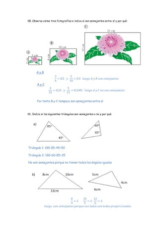 10. Observa estas tres fotografías e indica si son semejantes entre sí y por qué: 
A y B 
A y C 
Por tanto B y C tampoco son semejantes entre sí 
11. Indica si los siguientes triángulos son semejantes o no y por qué: 
Triángulo 1: 180-85-45=50 
Triángulo 2: 180-60-85=35 
No son semejantes porque no tienen todos los ángulos iguales 
