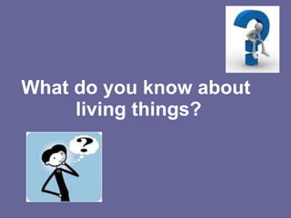 What do you know about  living things? 