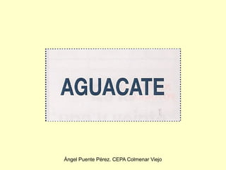 Ángel Puente Pérez. CEPA Colmenar Viejo
 