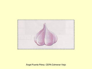 Ángel Puente Pérez. CEPA Colmenar Viejo
 