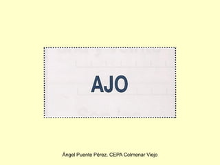 Ángel Puente Pérez. CEPA Colmenar Viejo
 