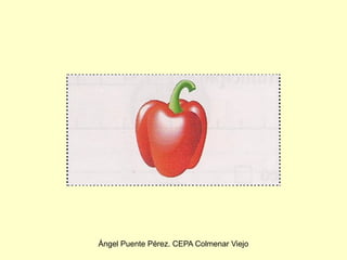 Ángel Puente Pérez. CEPA Colmenar Viejo
 