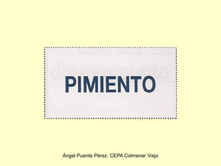Ángel Puente Pérez. CEPA Colmenar Viejo
 