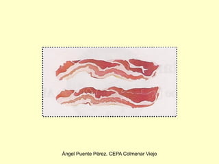 Ángel Puente Pérez. CEPA Colmenar Viejo
 