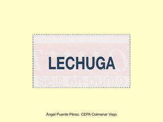 Ángel Puente Pérez. CEPA Colmenar Viejo
 