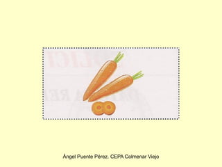 Ángel Puente Pérez. CEPA Colmenar Viejo
 