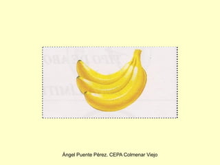 Ángel Puente Pérez. CEPA Colmenar Viejo
 