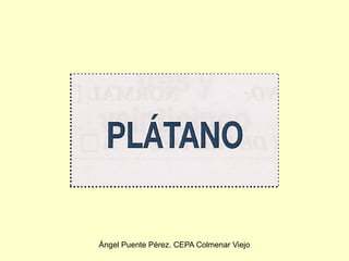 Ángel Puente Pérez. CEPA Colmenar Viejo
 