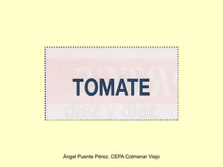 Ángel Puente Pérez. CEPA Colmenar Viejo
 