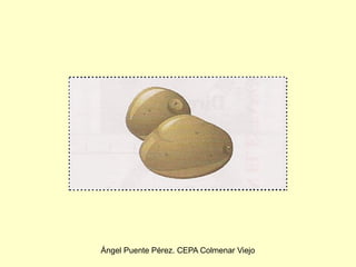 Ángel Puente Pérez. CEPA Colmenar Viejo
 