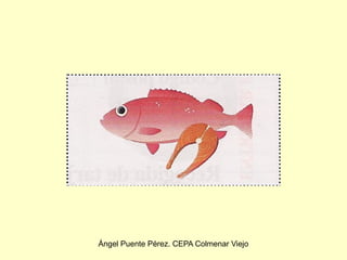 Ángel Puente Pérez. CEPA Colmenar Viejo
 