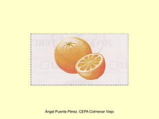 Ángel Puente Pérez. CEPA Colmenar Viejo
 